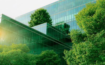 5 soluciones para reducir el impacto medioambiental en el transporte internacional